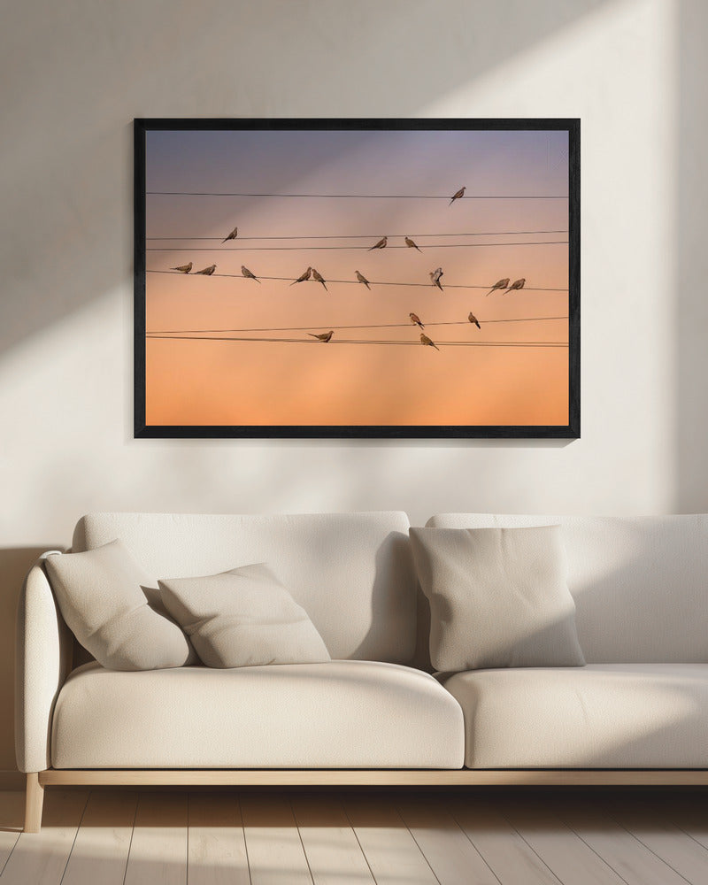 Music of Light | Canvas