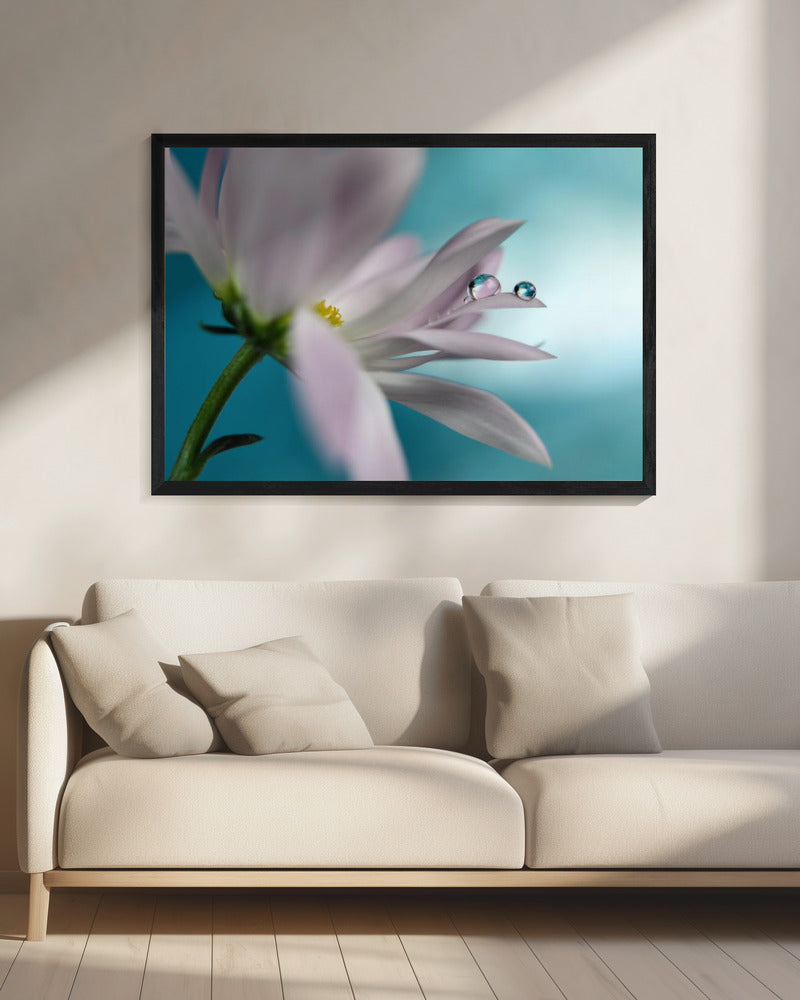 In turquoise Company | Canvas