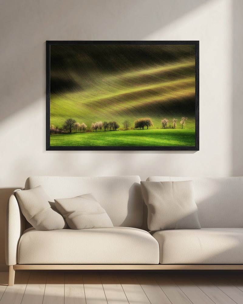 Moravian Fields | Canvas