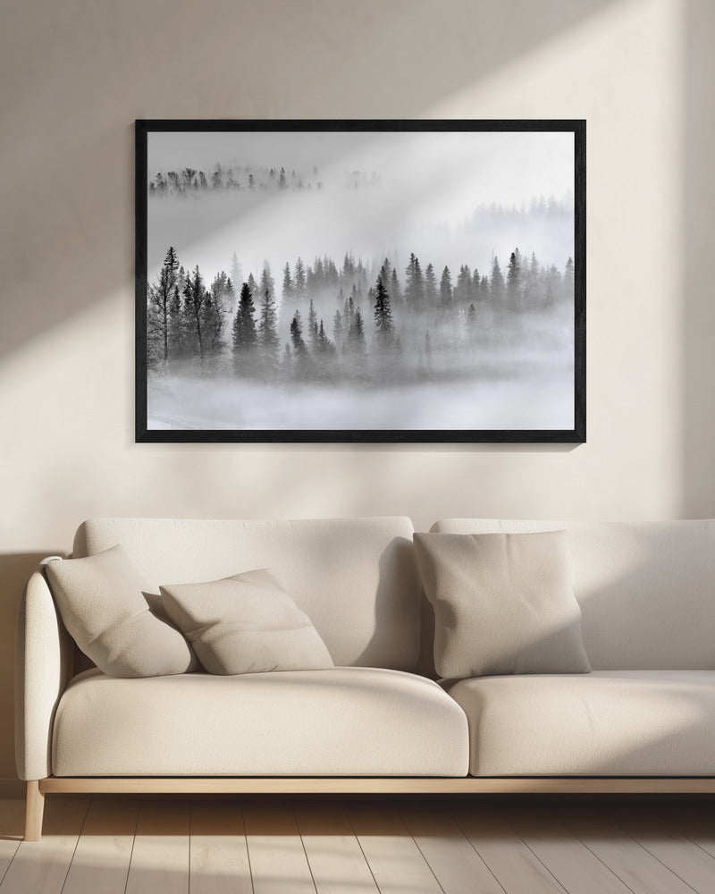Foggy Forest | Canvas