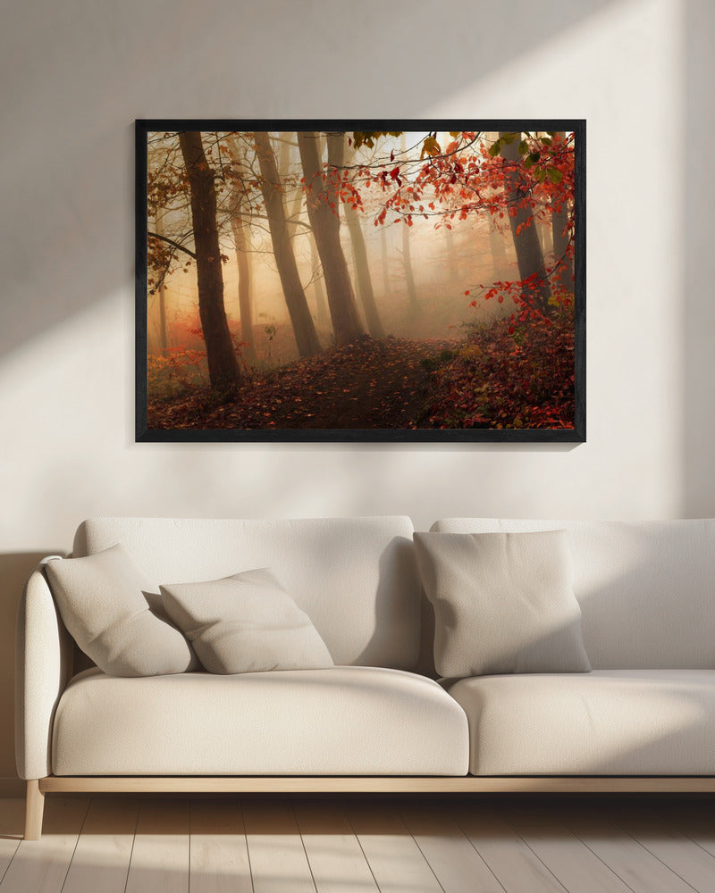 Towards the light. | Canvas