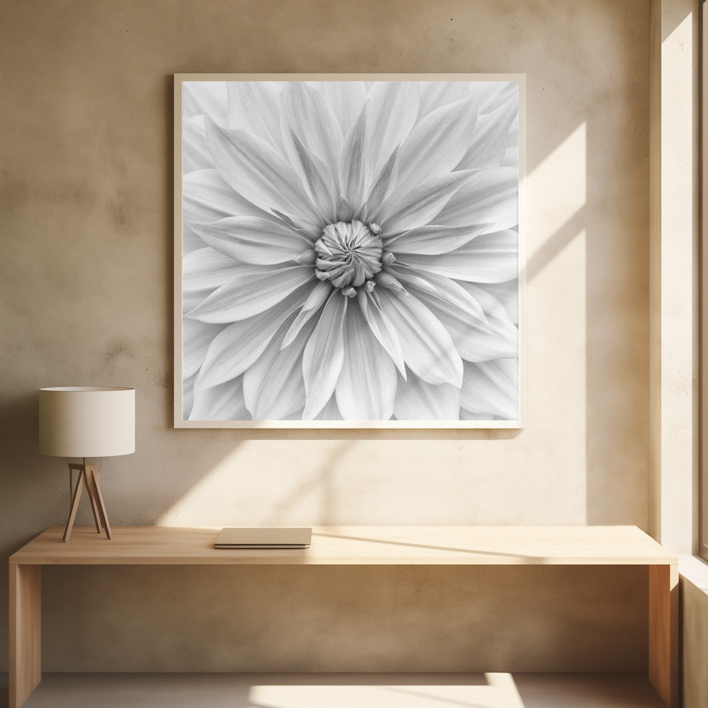 Hamari gold in monochrome | Poster