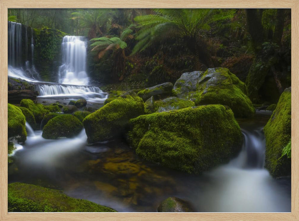 Hello Horseshoe | Poster