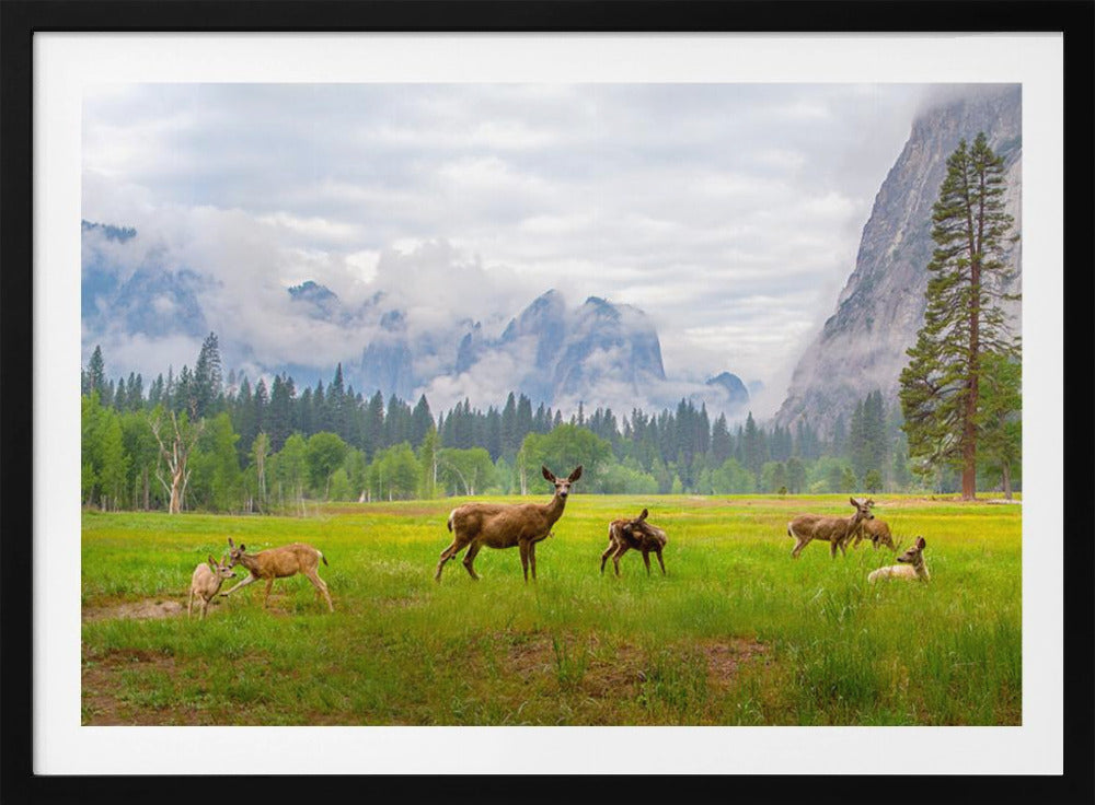 A Feeling of Ancient Time | Poster