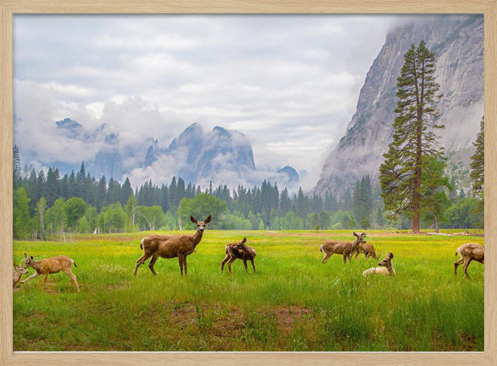 A Feeling of Ancient Time | Poster