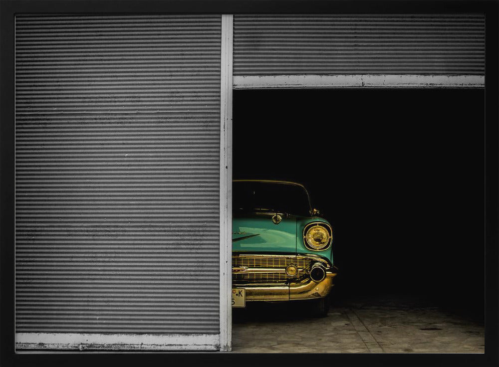 Hidden Beauty | Poster