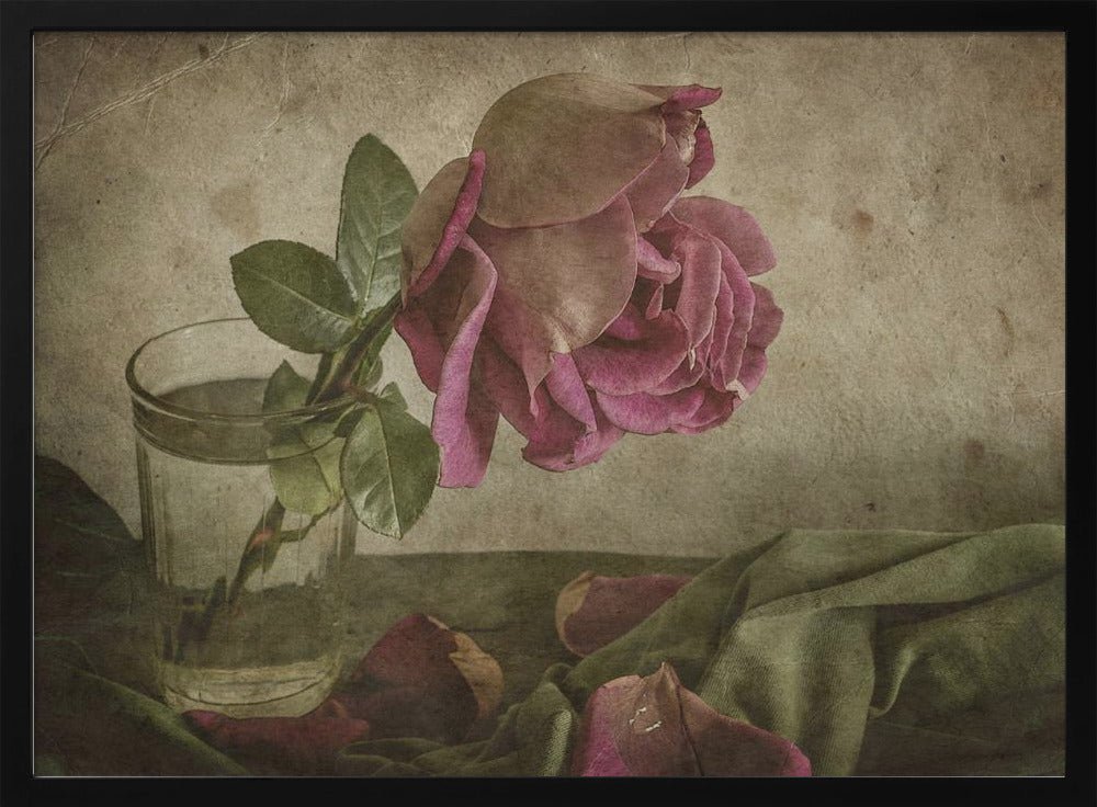 Tear of Rose | Poster