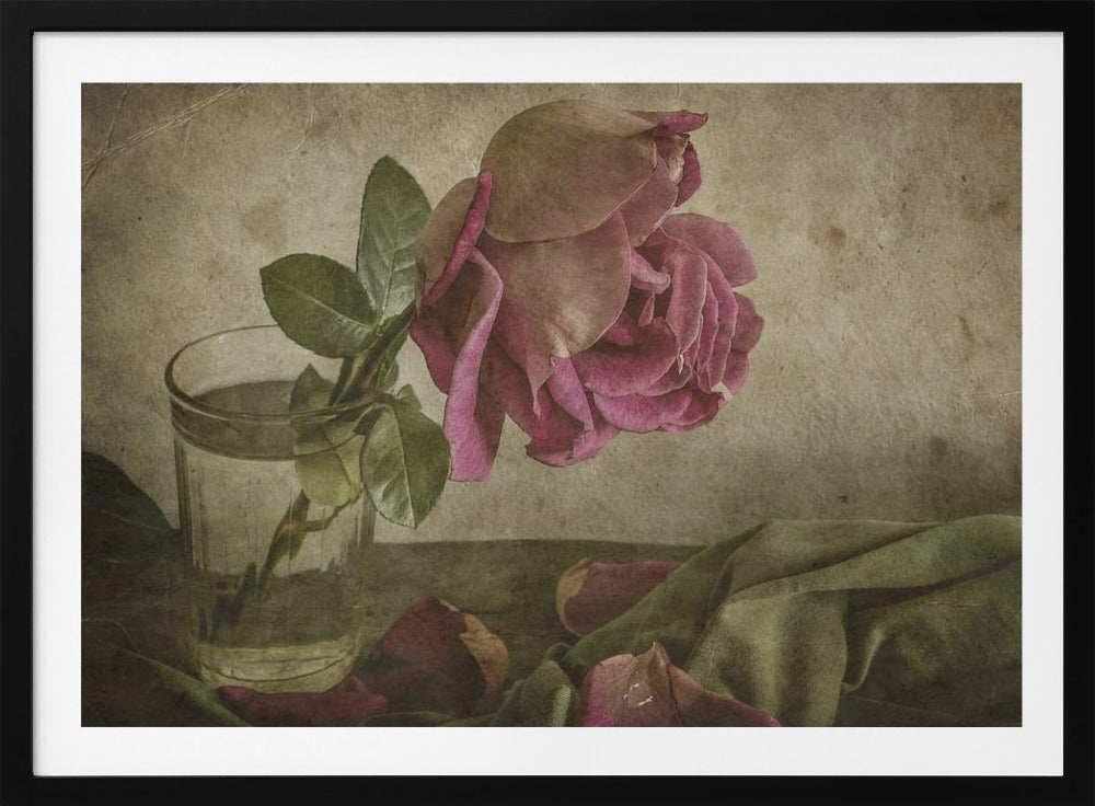 Tear of Rose | Poster