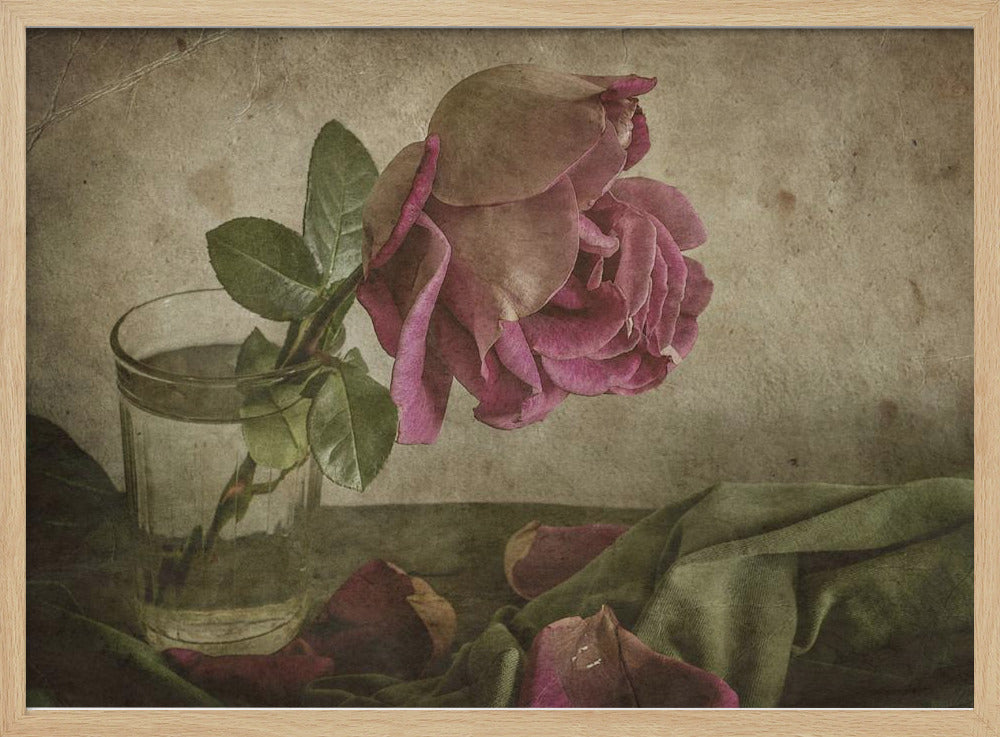 Tear of Rose | Poster