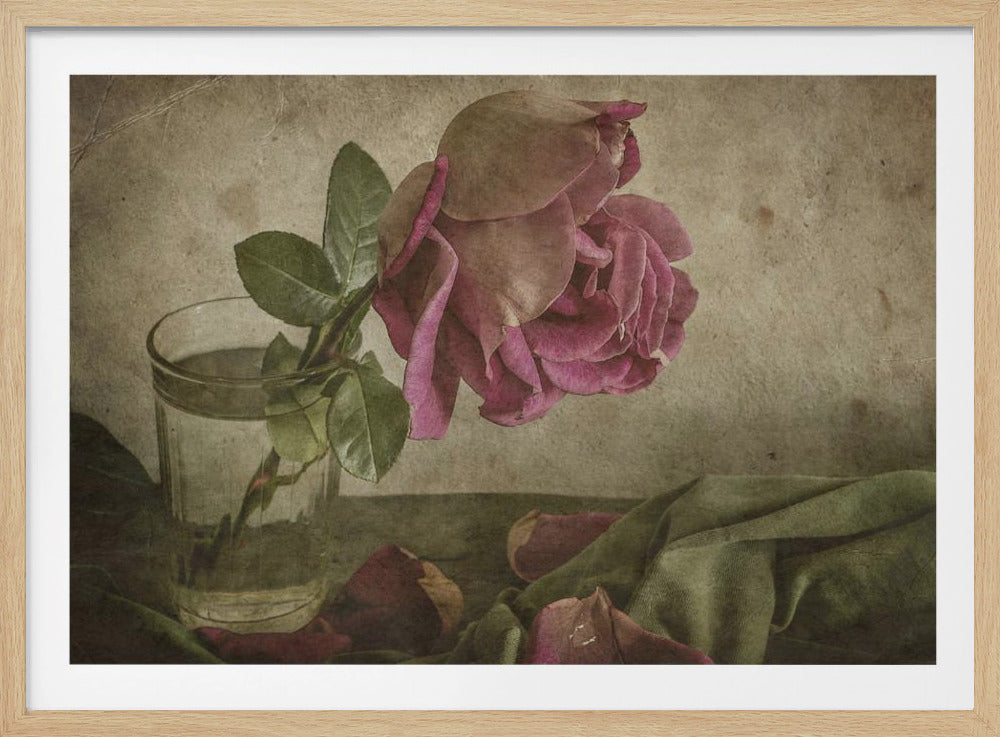 Tear of Rose | Poster