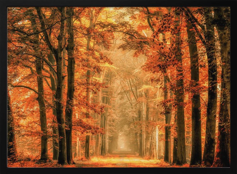 Exit the Portal | Poster