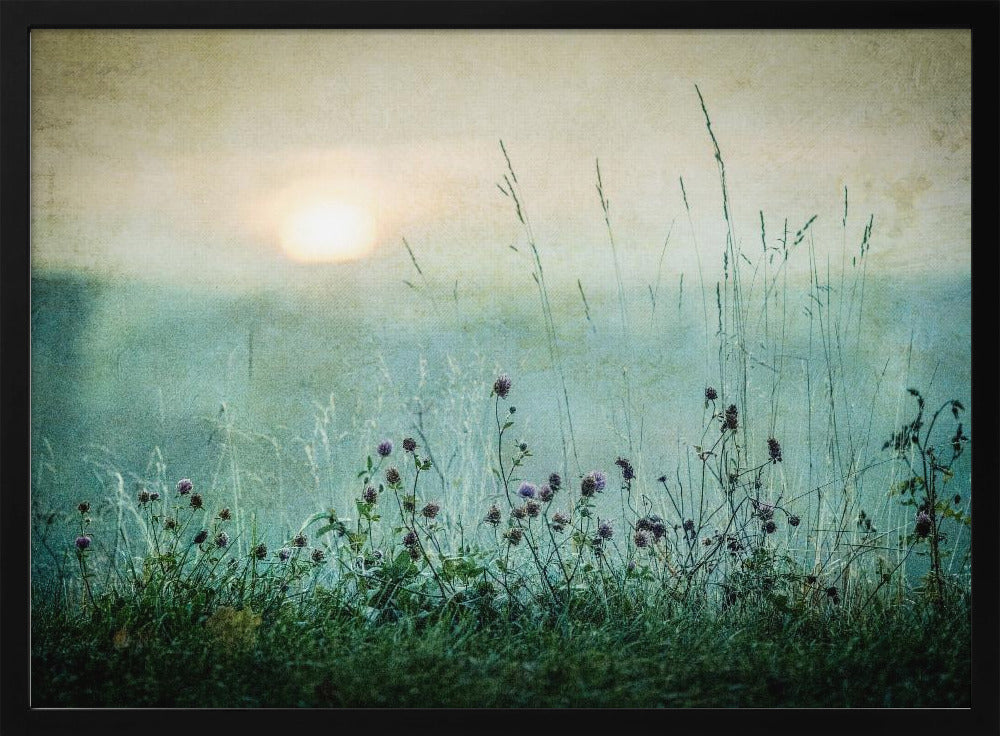 Autumn sunrise | Poster