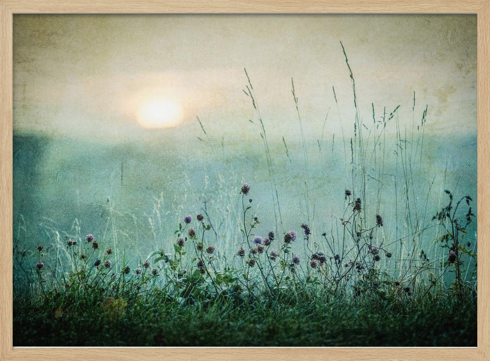 Autumn sunrise | Poster