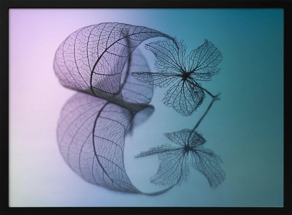 Story of leaf and flower | Poster