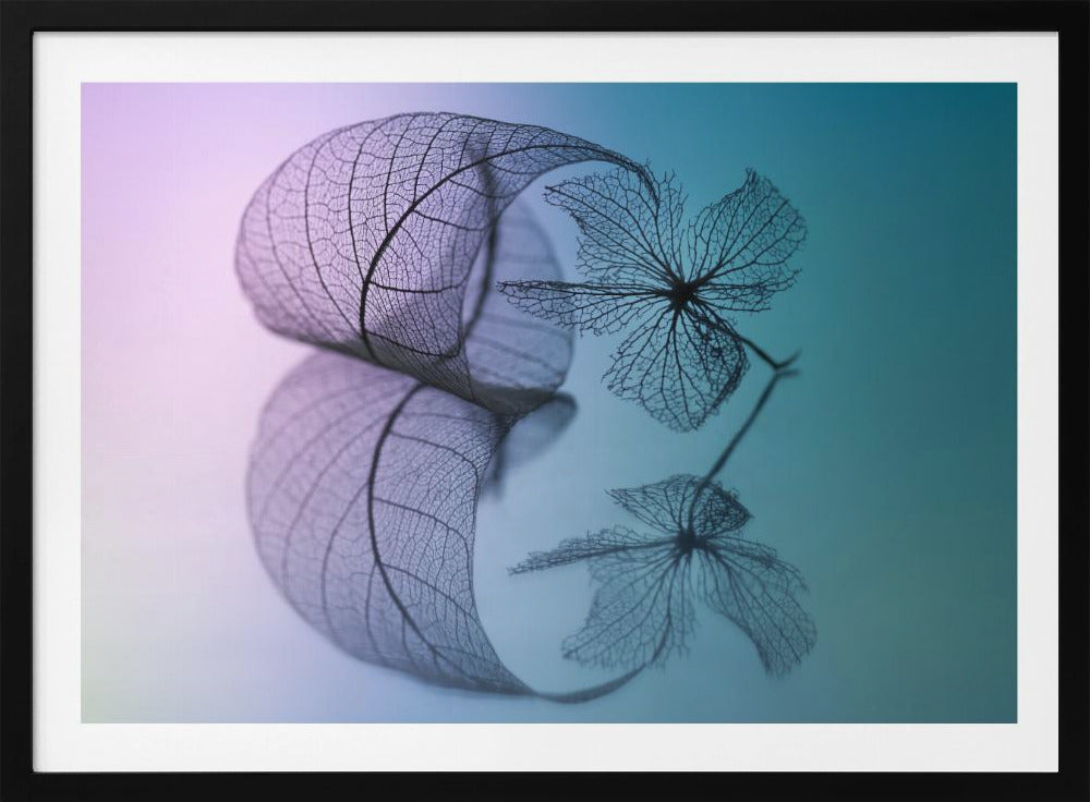 Story of leaf and flower | Poster