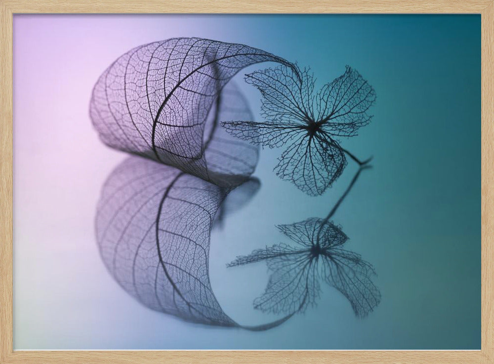 Story of leaf and flower | Poster