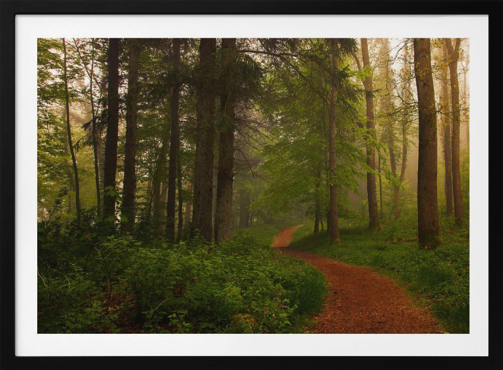 The Red Path. | Poster