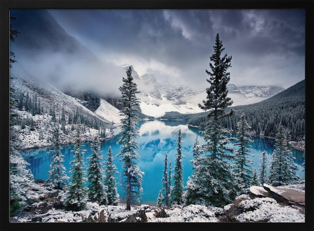 Morning blues | Poster