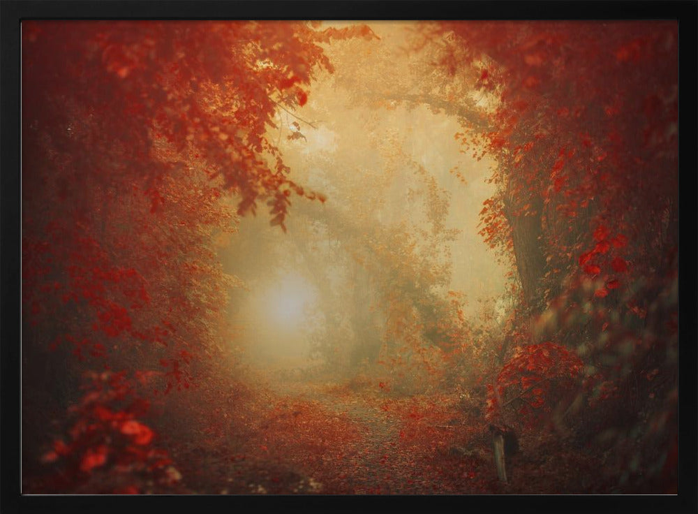 Personal Journey | Poster