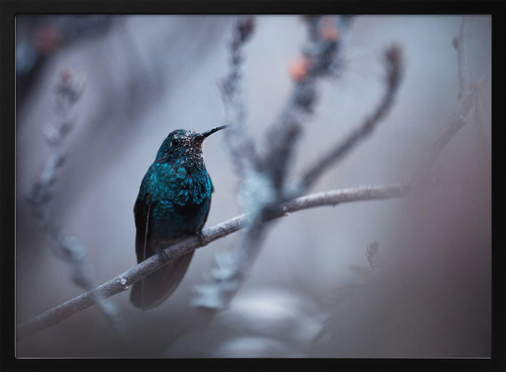 Electrical Blue | Poster