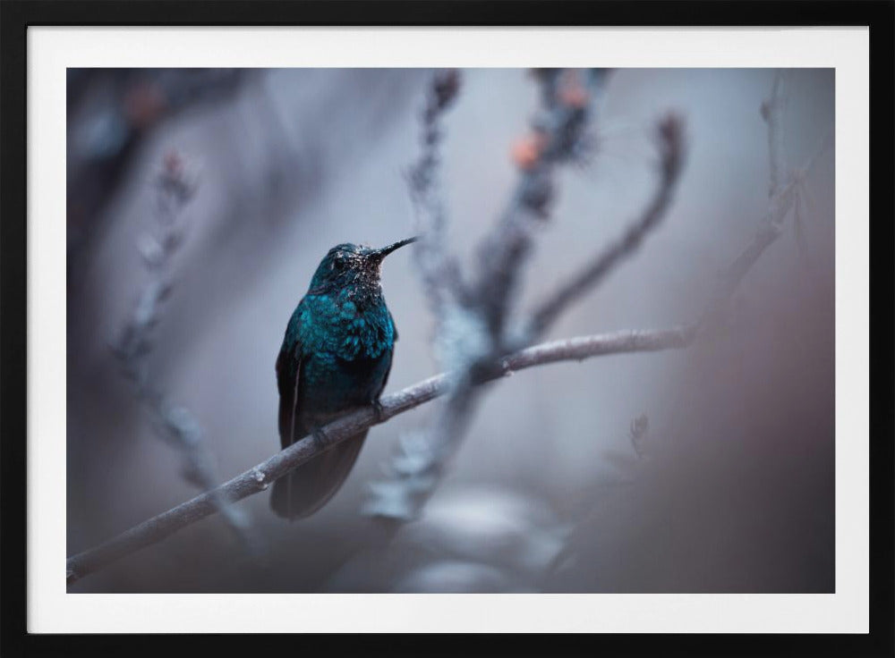 Electrical Blue | Poster