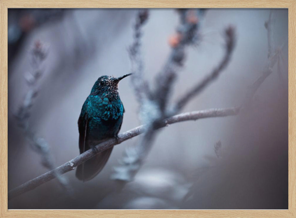 Electrical Blue | Poster