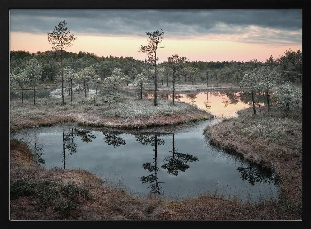 Spilled paint | Poster