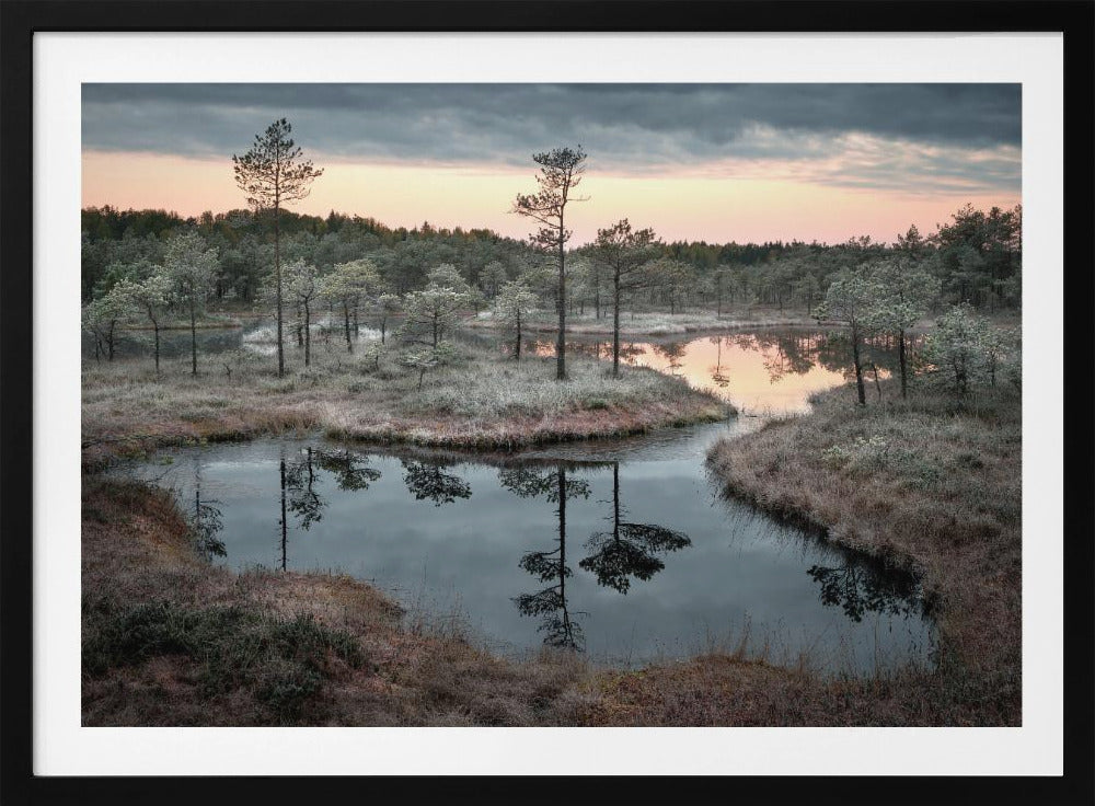 Spilled paint | Poster