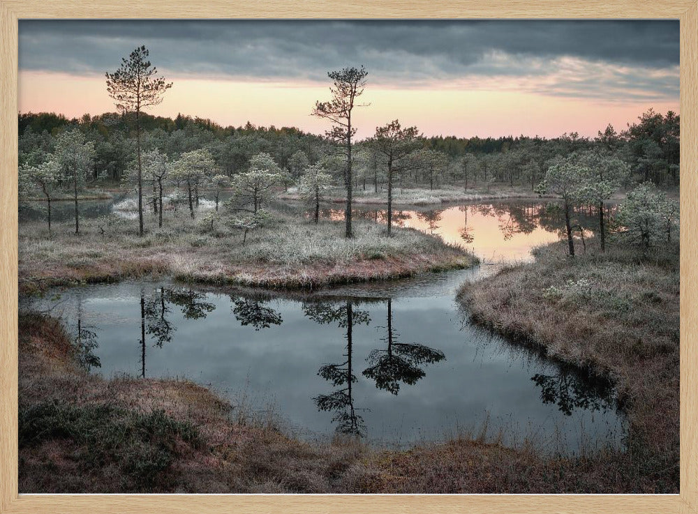 Spilled paint | Poster