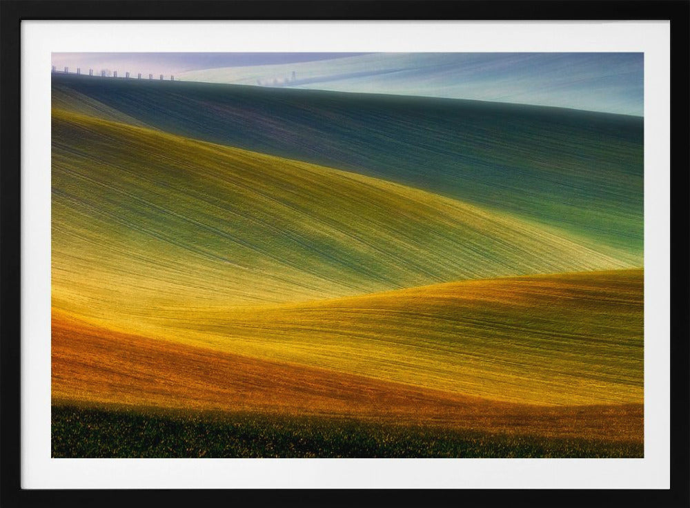 Spring fields | Poster