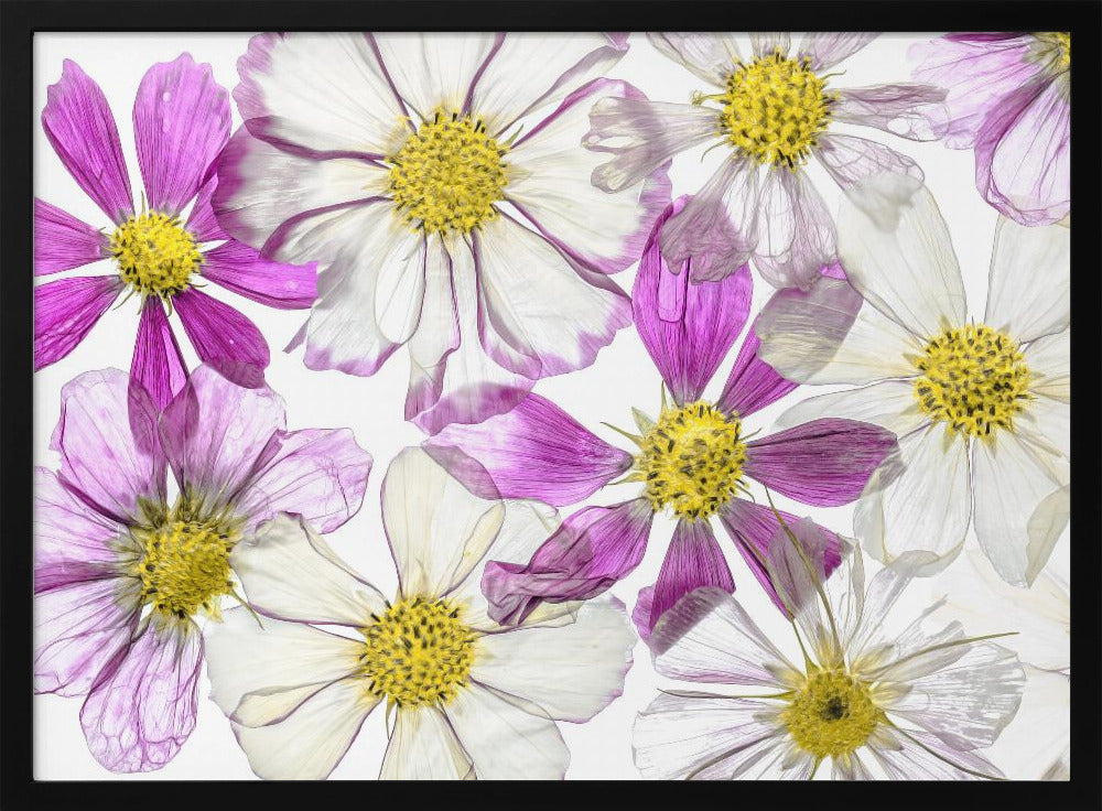 Keeping Summer | Poster