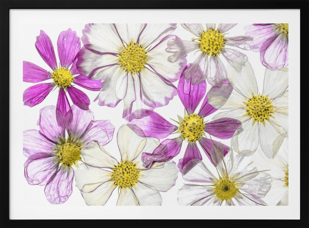 Keeping Summer | Poster