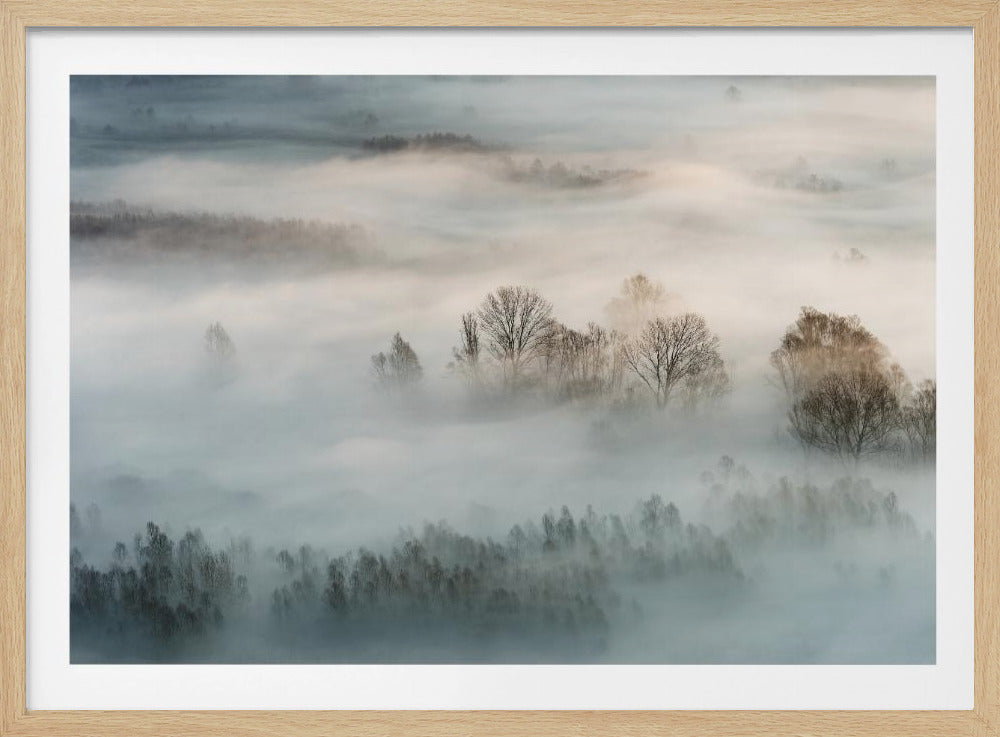 Winter fog | Poster