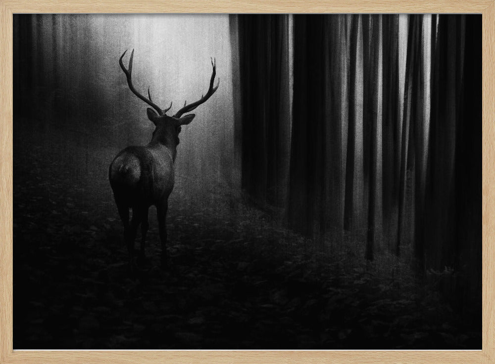 Stag | Poster