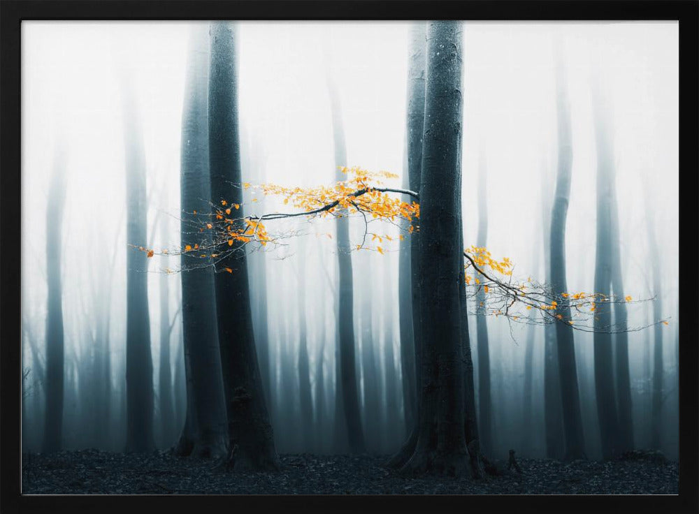 Speulder Revisited | Poster