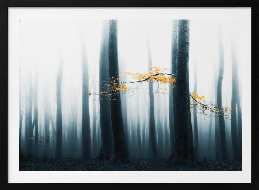 Speulder Revisited | Poster