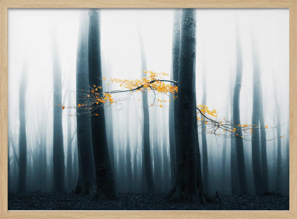 Speulder Revisited | Poster