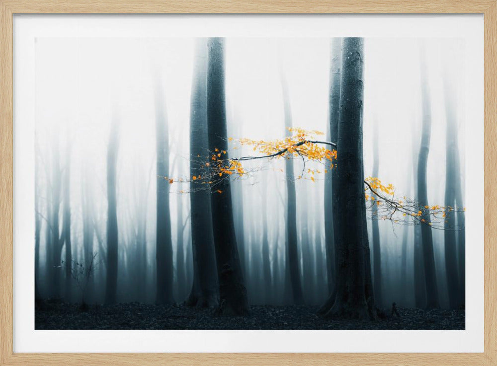 Speulder Revisited | Poster