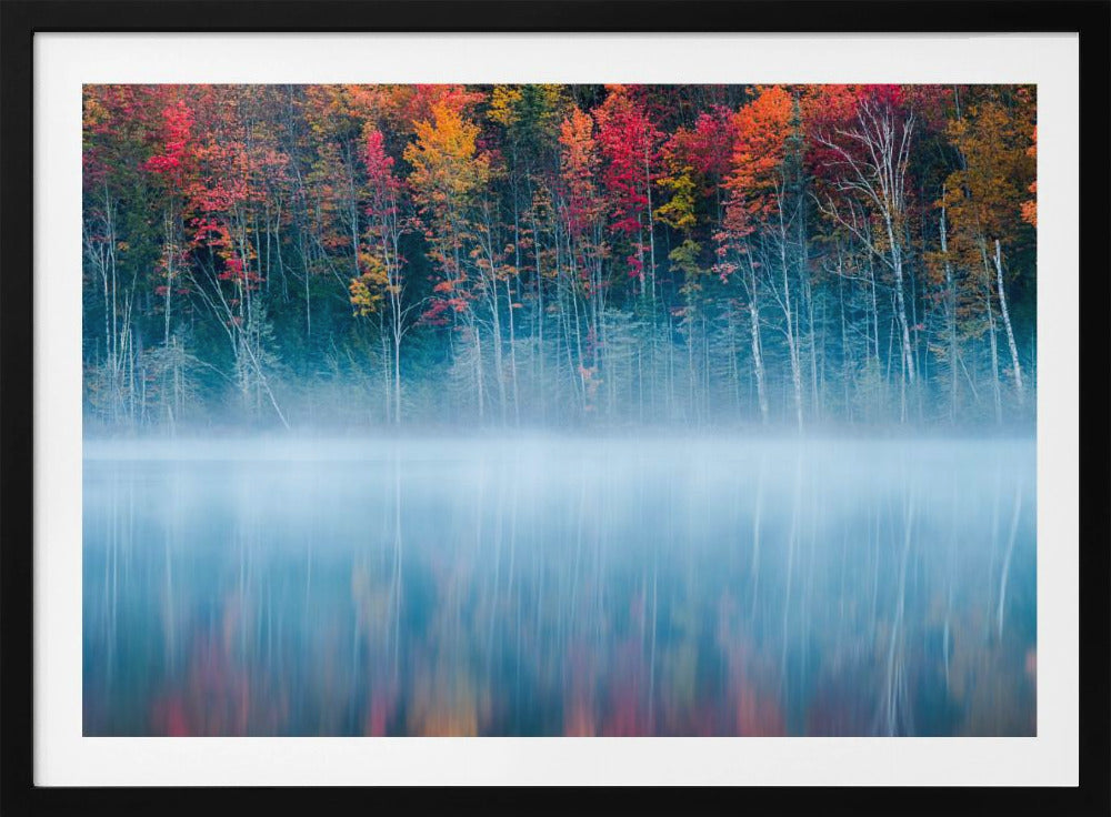 Morning Reflection | Poster