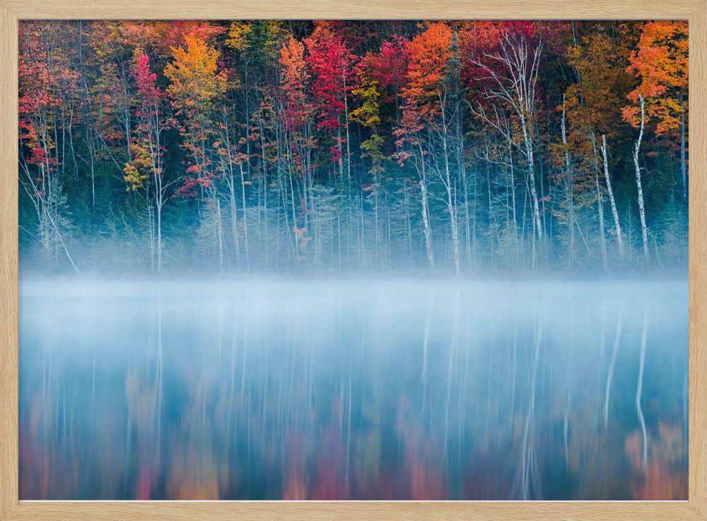 Morning Reflection | Poster