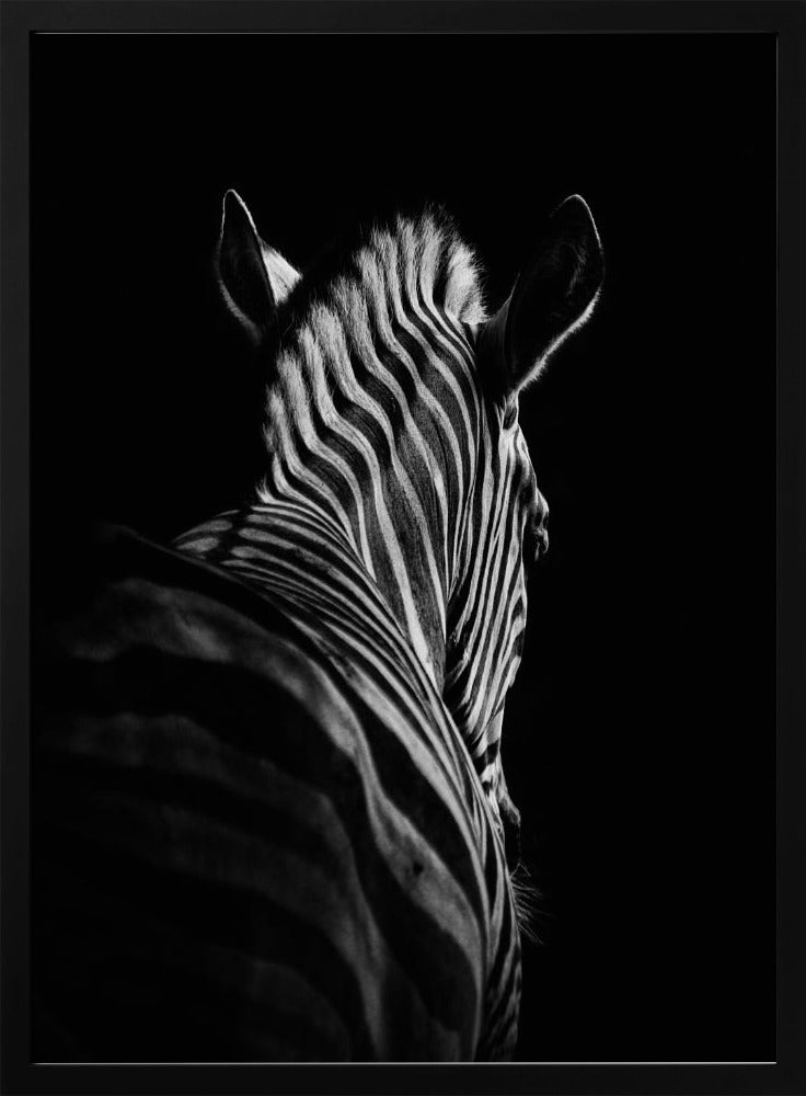 Stepping Down #6 | Poster