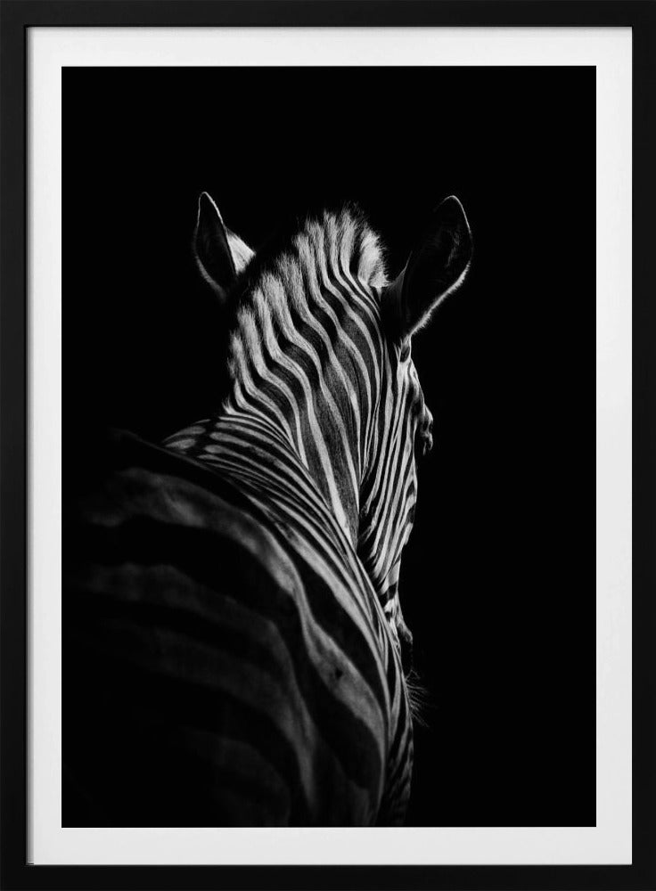 Stepping Down #6 | Poster