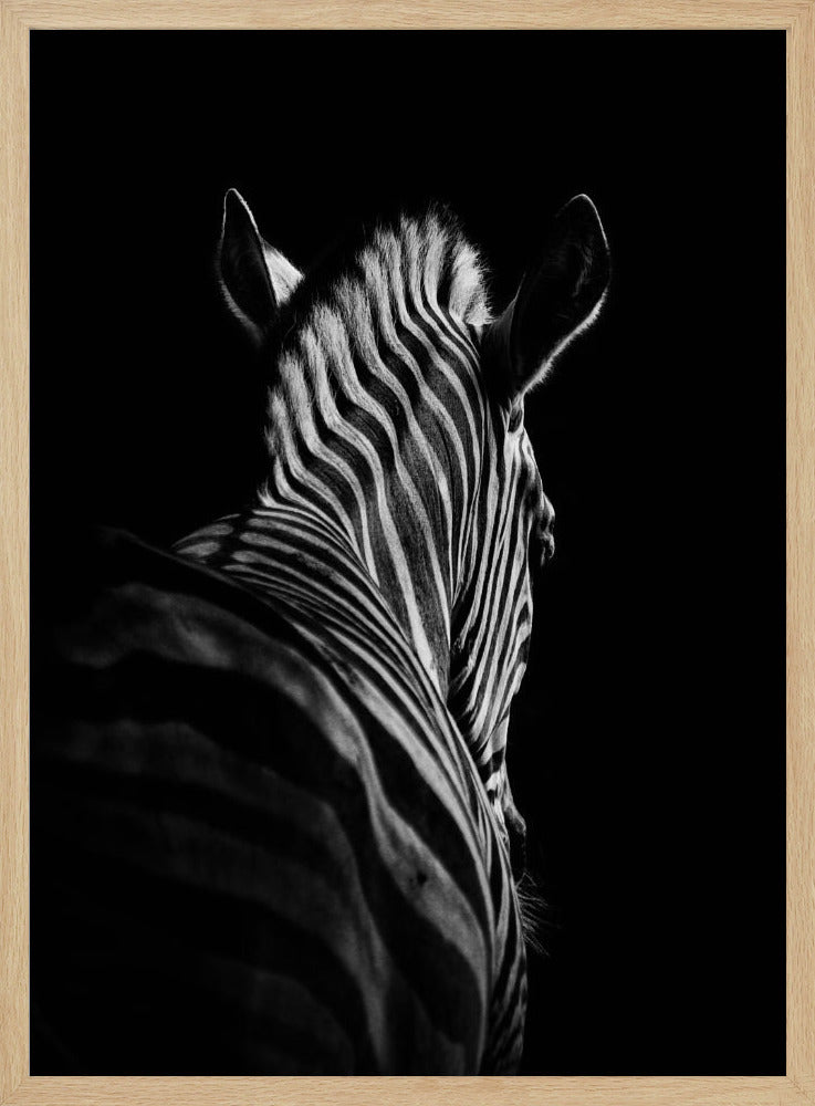 Stepping Down #6 | Poster