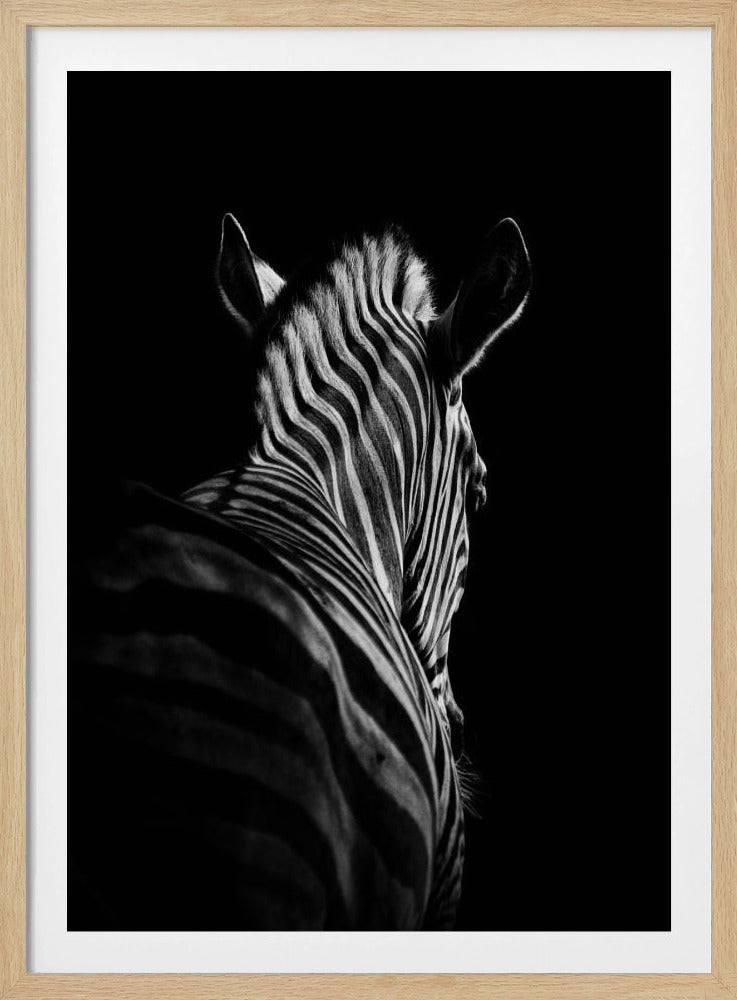 Stepping Down #6 | Poster