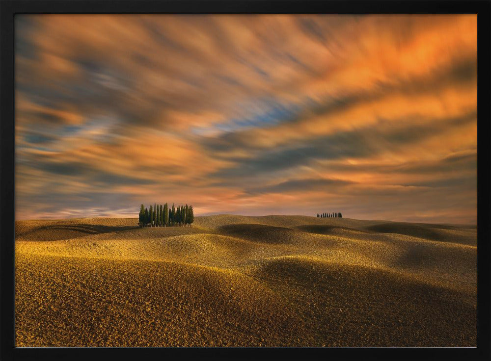 Cypresses... | Poster