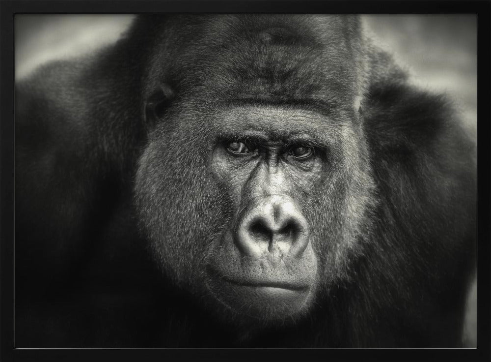 LITTLE SMILE .... | Poster