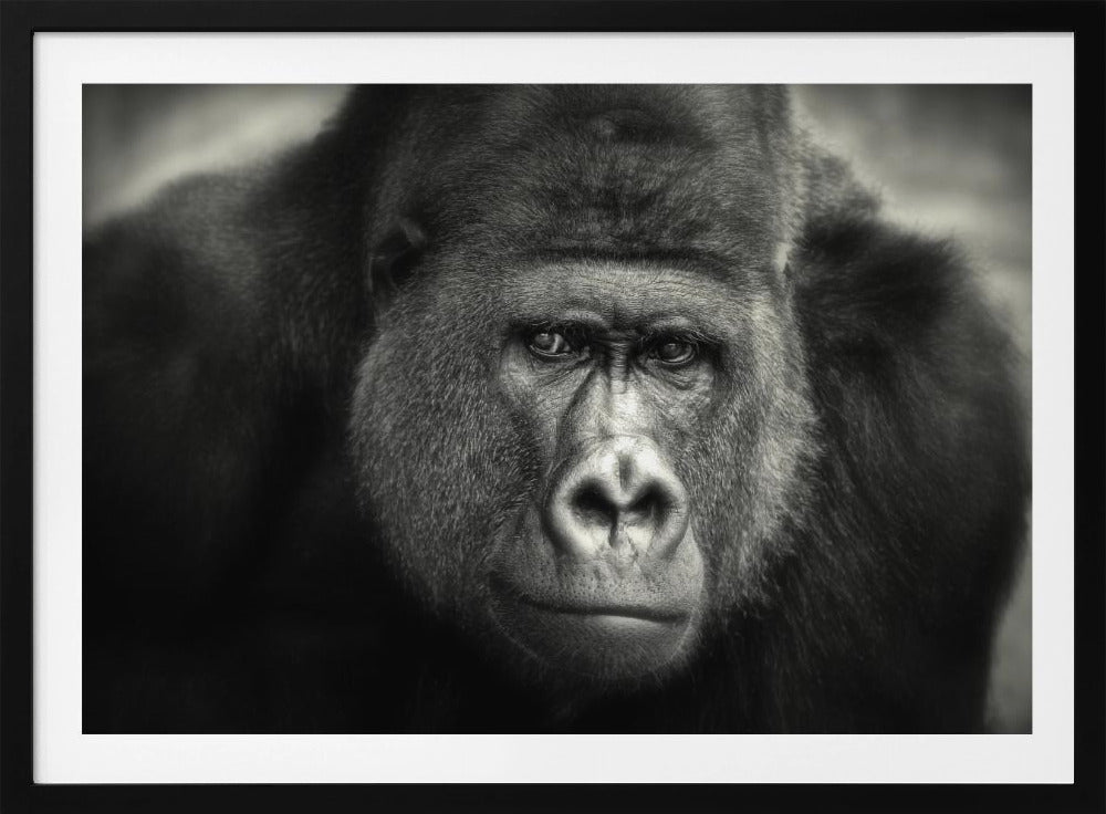 LITTLE SMILE .... | Poster