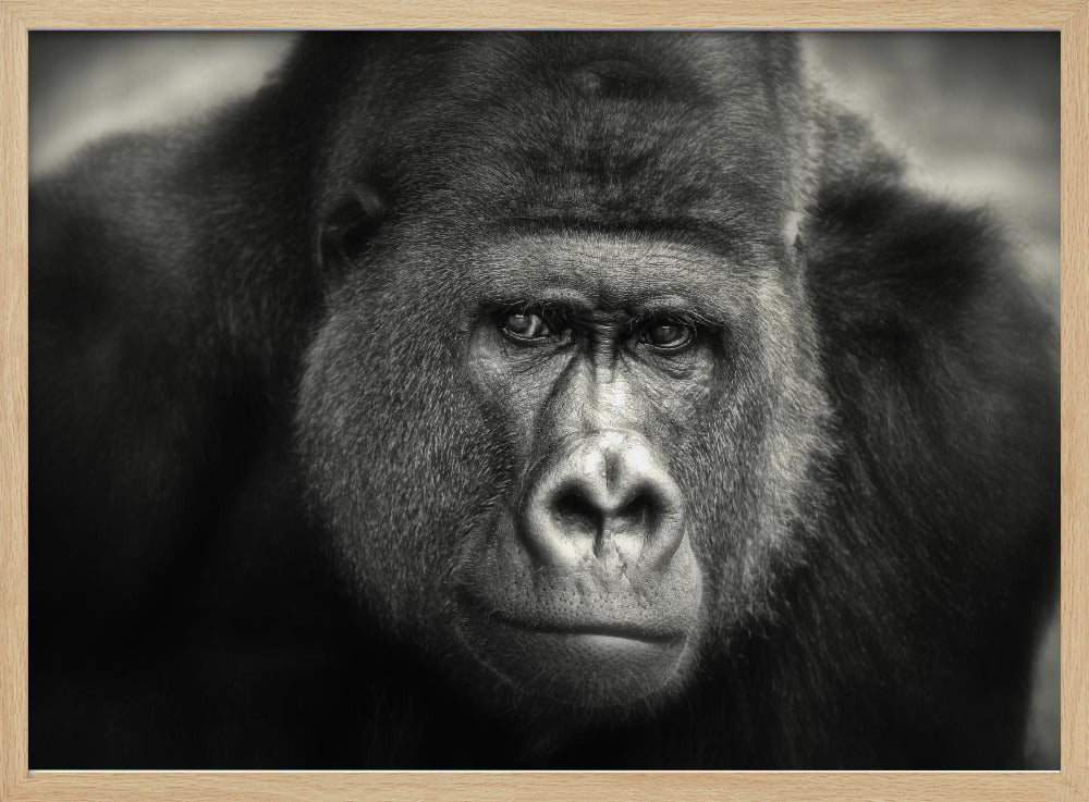 LITTLE SMILE .... | Poster