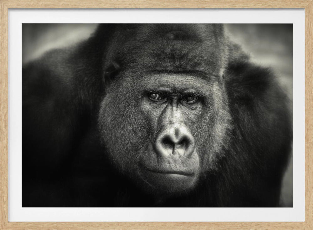 LITTLE SMILE .... | Poster