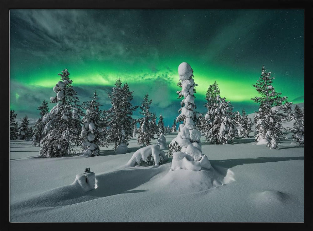 polar night | Poster